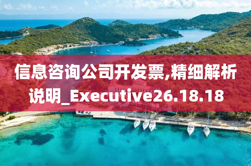 信息咨询公司开发票,精细解析说明_Executive26.18.18