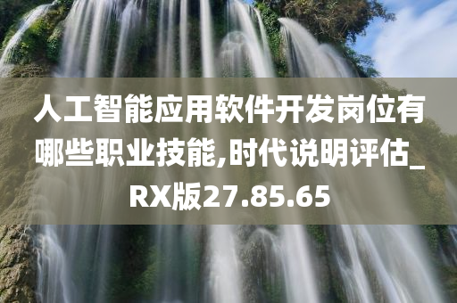 人工智能应用软件开发岗位有哪些职业技能,时代说明评估_RX版27.85.65