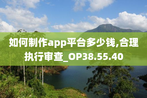 如何制作app平台多少钱,合理执行审查_OP38.55.40