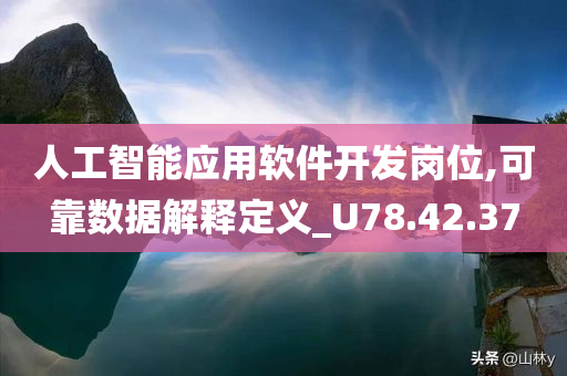 人工智能应用软件开发岗位