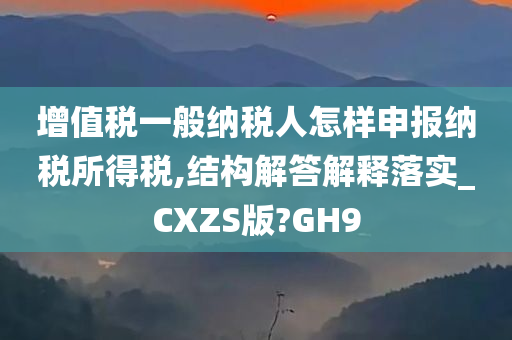 增值税一般纳税人怎样申报纳税所得税,结构解答解释落实_CXZS版?GH9