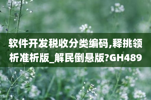 软件开发税收分类编码,释挑领析准析版_解民倒悬版?GH489