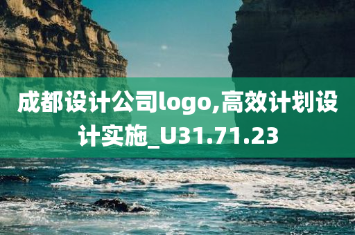 成都设计公司logo,高效计划设计实施_U31.71.23