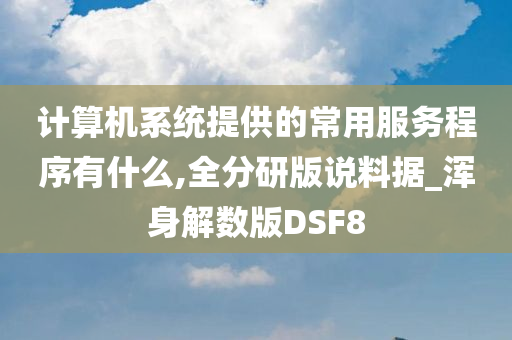 计算机系统提供的常用服务程序有什么,全分研版说料据_浑身解数版DSF8