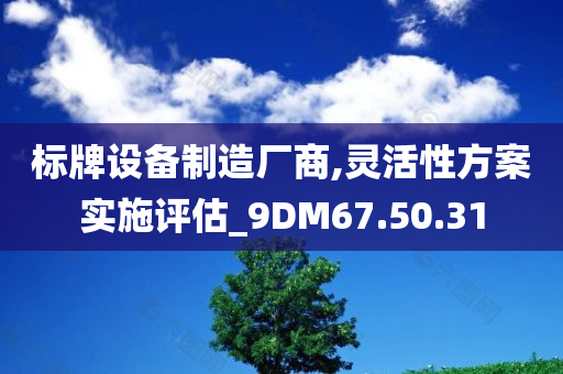 标牌设备制造厂商,灵活性方案实施评估_9DM67.50.31