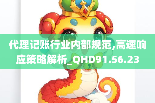 代理记账行业内部规范,高速响应策略解析_QHD91.56.23