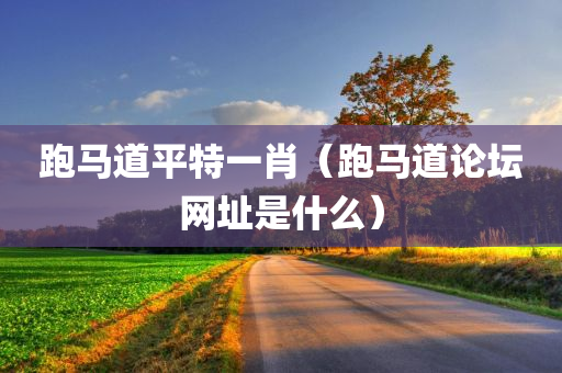 跑马道平特一肖（跑马道论坛网址是什么）