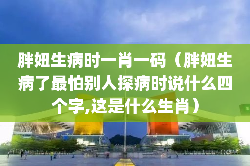 胖妞生病时一肖一码（胖妞生病了最怕别人探病时说什么四个字,这是什么生肖）