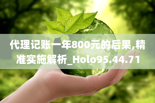 代理记账一年800元的后果,精准实施解析_Holo95.44.71