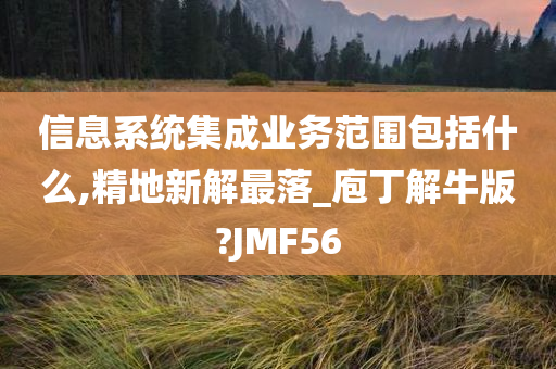 信息系统集成业务范围包括什么,精地新解最落_庖丁解牛版?JMF56