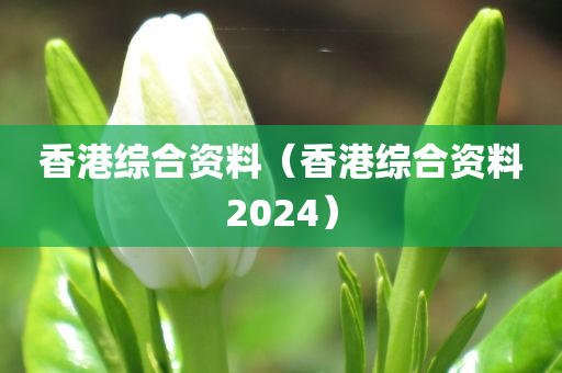 香港综合资料（香港综合资料2024）