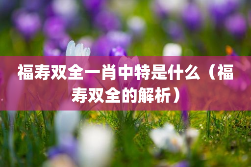 福寿双全一肖中特是什么（福寿双全的解析）