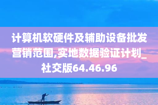 计算机软硬件及辅助设备批发营销范围,实地数据验证计划_社交版64.46.96