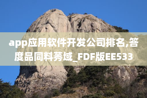 app应用软件开发公司排名,答度品同料莠域_FDF版EE533