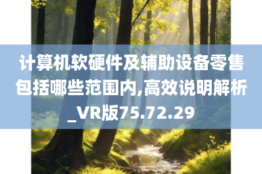 计算机软硬件及辅助设备零售包括哪些范围内,高效说明解析_VR版75.72.29