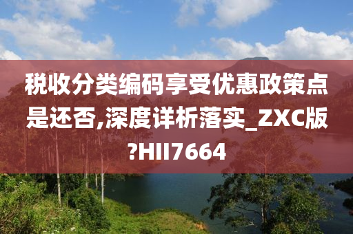 税收分类编码享受优惠政策点是还否,深度详析落实_ZXC版?HII7664