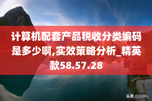 计算机配套产品税收分类编码是多少啊,实效策略分析_精英款58.57.28