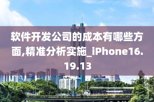 软件开发公司的成本有哪些方面,精准分析实施_iPhone16.19.13