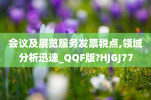 会议及展览服务发票税点,领域分析迅速_QQF版?HJGJ77