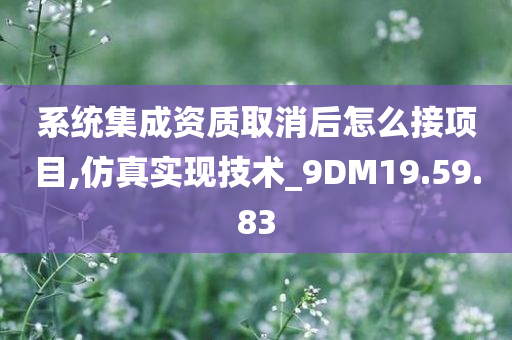 系统集成资质取消后怎么接项目,仿真实现技术_9DM19.59.83