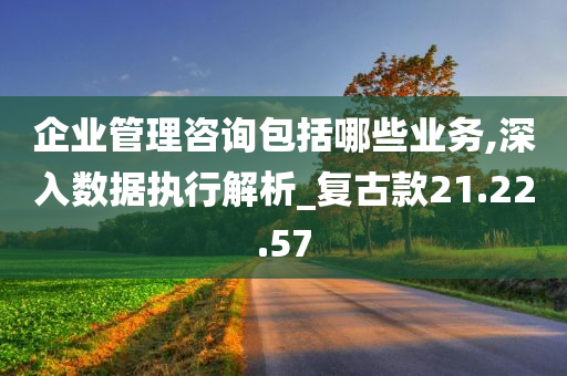 企业管理咨询包括哪些业务,深入数据执行解析_复古款21.22.57