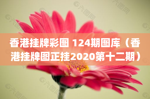 香港挂牌彩图 124期图库（香港挂牌图正挂2020第十二期）