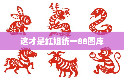 这才是红姐统一88图库