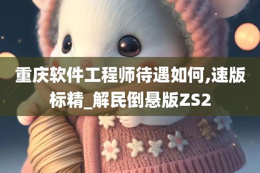 重庆软件工程师待遇如何,速版标精_解民倒悬版ZS2