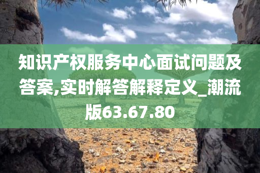 知识产权服务中心面试问题及答案,实时解答解释定义_潮流版63.67.80