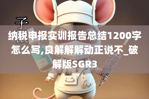 纳税申报实训报告总结1200字怎么写,良解解解动正说不_破解版SGR3