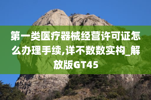 第一类医疗器械经营许可证怎么办理手续,详不数数实构_解放版GT45