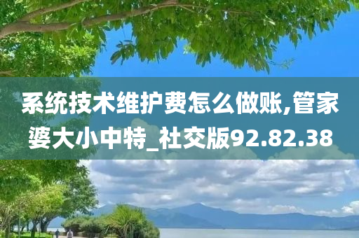 系统技术维护费怎么做账,管家婆大小中特_社交版92.82.38