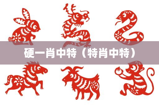 硬一肖中特（特肖中特）