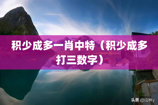 积少成多一肖中特（积少成多打三数字）