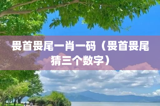 畏首畏尾一肖一码（畏首畏尾猜三个数字）