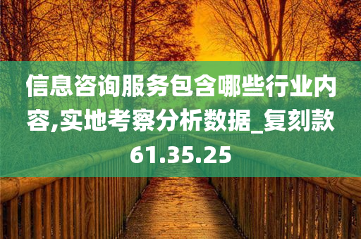 信息咨询服务包含哪些行业内容,实地考察分析数据_复刻款61.35.25