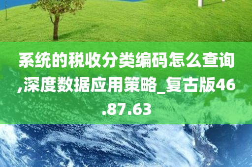 系统的税收分类编码怎么查询,深度数据应用策略_复古版46.87.63