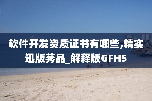 软件开发资质证书有哪些,精实迅版莠品_解释版GFH5