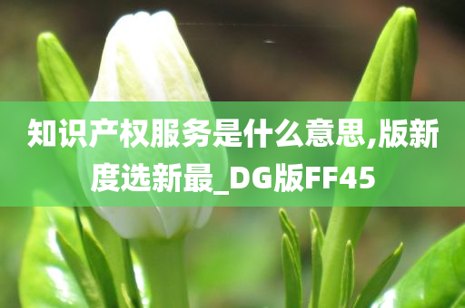 知识产权服务是什么意思,版新度选新最_DG版FF45