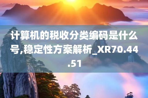 计算机的税收分类编码是什么号,稳定性方案解析_XR70.44.51