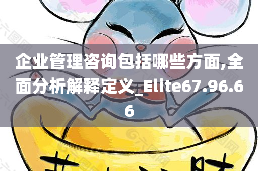 企业管理咨询包括哪些方面,全面分析解释定义_Elite67.96.66