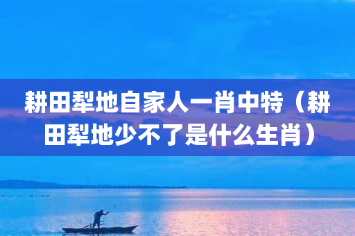 耕田犁地自家人一肖中特（耕田犁地少不了是什么生肖）