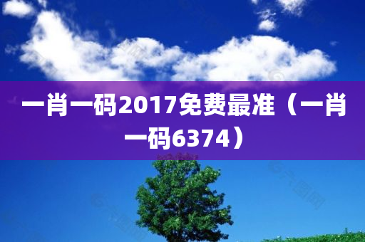 一肖一码2017免费最准（一肖一码6374）