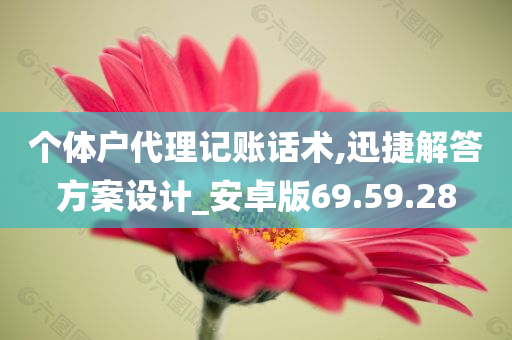 个体户代理记账话术,迅捷解答方案设计_安卓版69.59.28