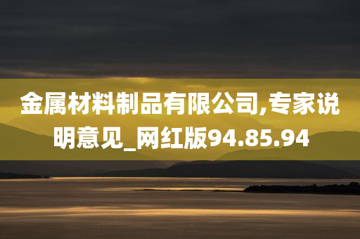 金属材料制品有限公司,专家说明意见_网红版94.85.94