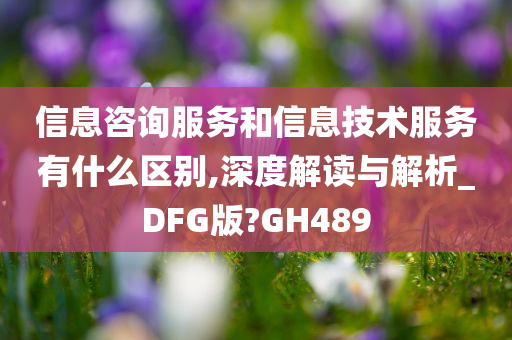 信息咨询服务和信息技术服务有什么区别,深度解读与解析_DFG版?GH489