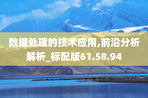 数据处理的技术应用,前沿分析解析_标配版61.58.94