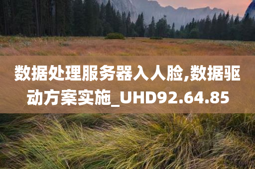 数据处理服务器入人脸,数据驱动方案实施_UHD92.64.85