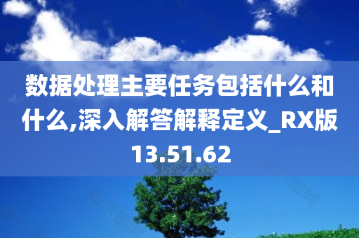 数据处理主要任务包括什么和什么,深入解答解释定义_RX版13.51.62