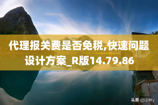 代理报关费是否免税,快速问题设计方案_R版14.79.86